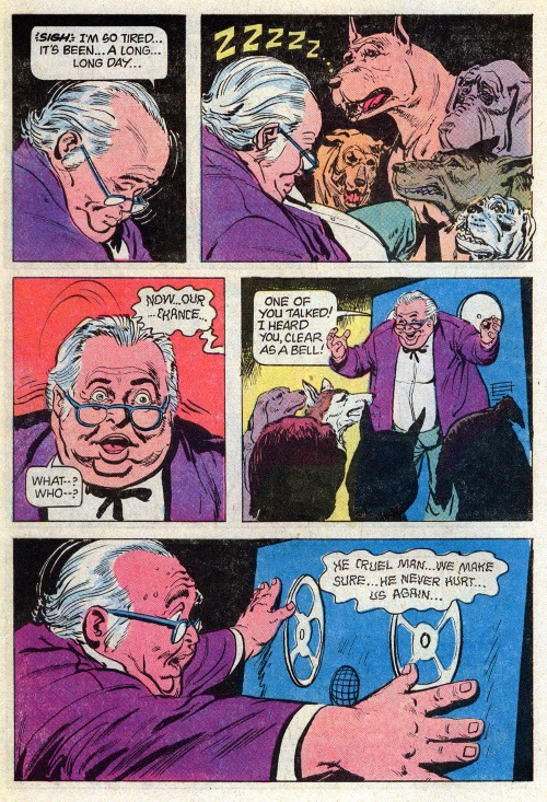 animal-communication-the-twilight-zone-82-gold-key-6