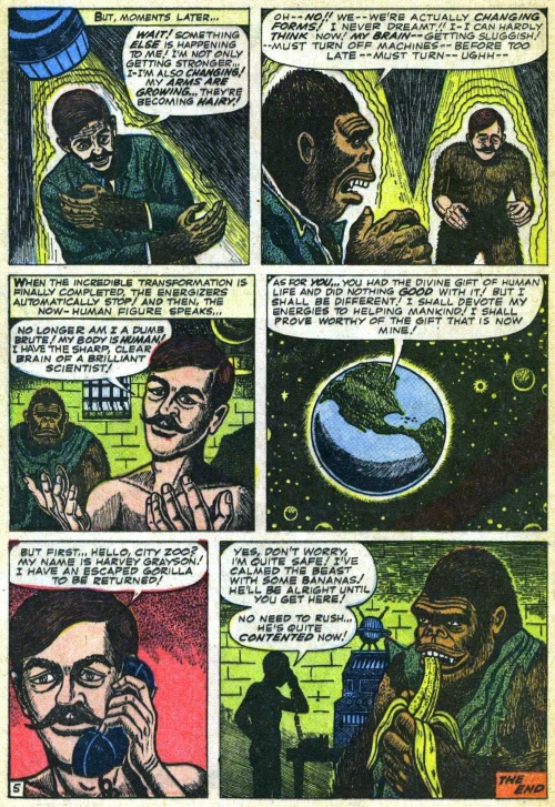 Animal Mimicry (one)-Gorilla-Tales To Astonish V1 #48