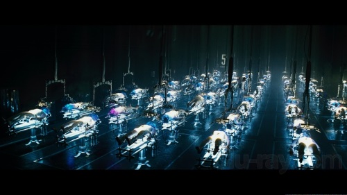 Body Part Substitution (others)–Island 2005