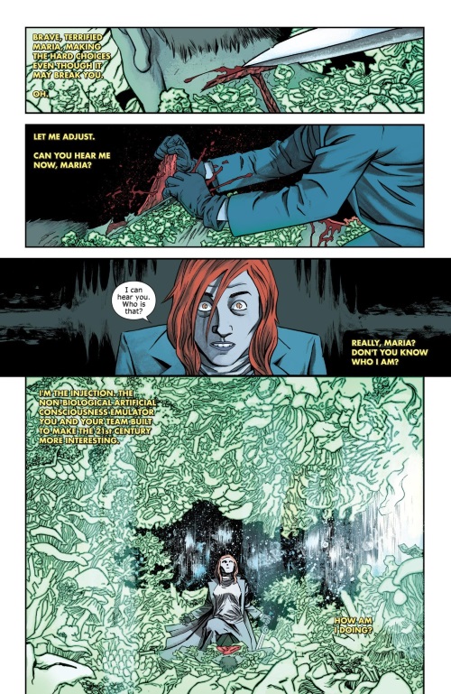 Cyber Mimicry–Injection V1 (2015)