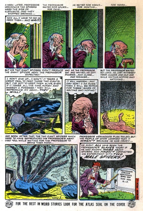 Size Growth (object)–Giant Spiders-Uncanny Tales #26-14