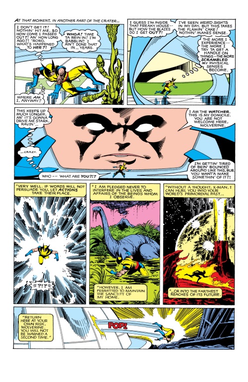 time-travel-others-watcher-phoenix-the-untold-story