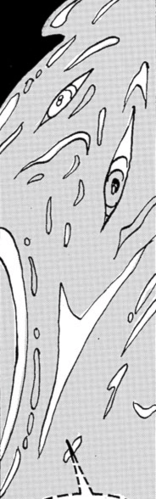 Amorphous Mimicry-Alex-Ghost Rider V3 #8