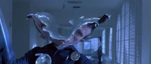 Amorphous Mimicry-T-1000