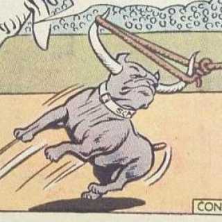 Canidae Mimicry-Space Canine Patrol Agents-Bull Dog