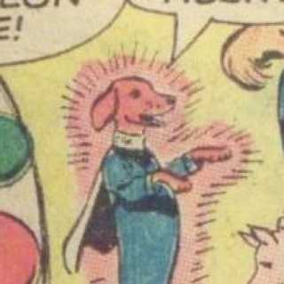 Canidae Mimicry-Space Canine Patrol Agents-Hot Dog