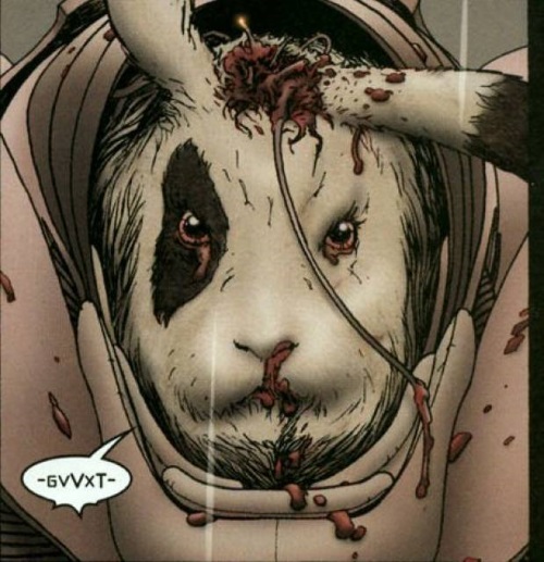 Rodent Mimicry-Pirate-We3 Vertigo