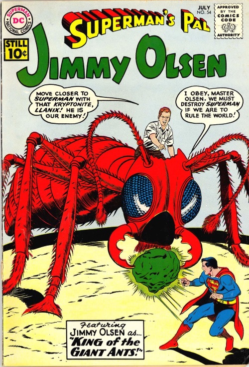 ant-mimicry-jimmy-olsen-54