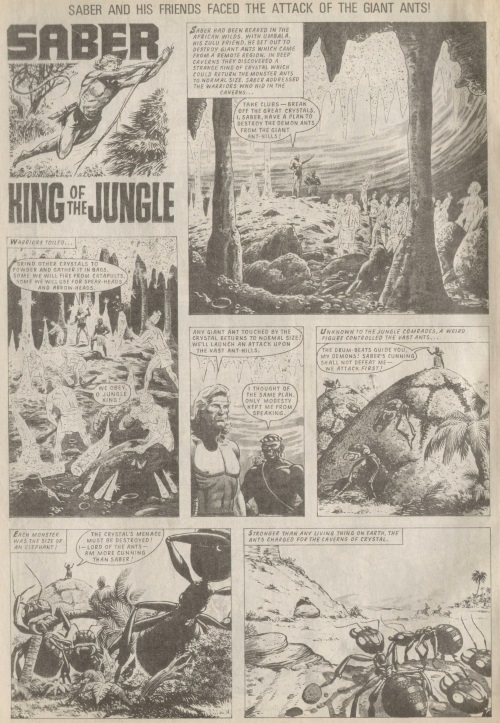 ant-mimicry-saber-king-of-the-jungle-tiger-763-1969
