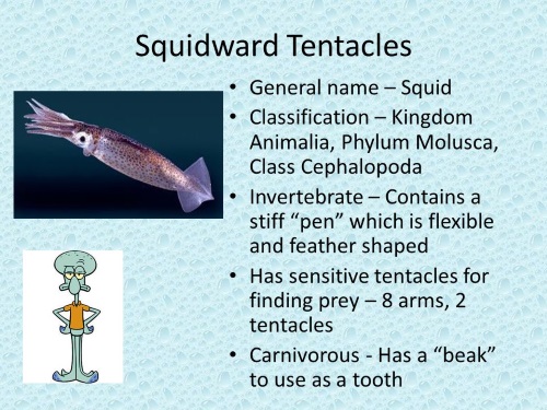 Cephalopod Mimicry-Squidward Tentacles-SpongeBob SquarePants