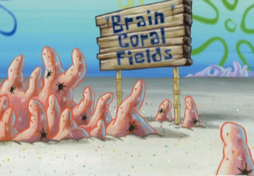 Intelligence Enhancement-Brain Coral Fields-SpongeBob