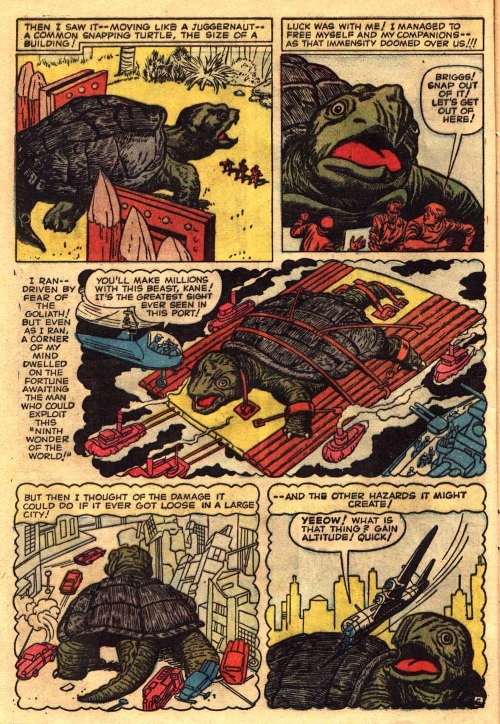 turtle-mimicry-experiment-247-tales-to-astonish-v1-1