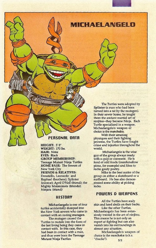 Turtle Mimicry-TMNT-Michaelangelo-TMNT Mutant Universe Sourcebook #1