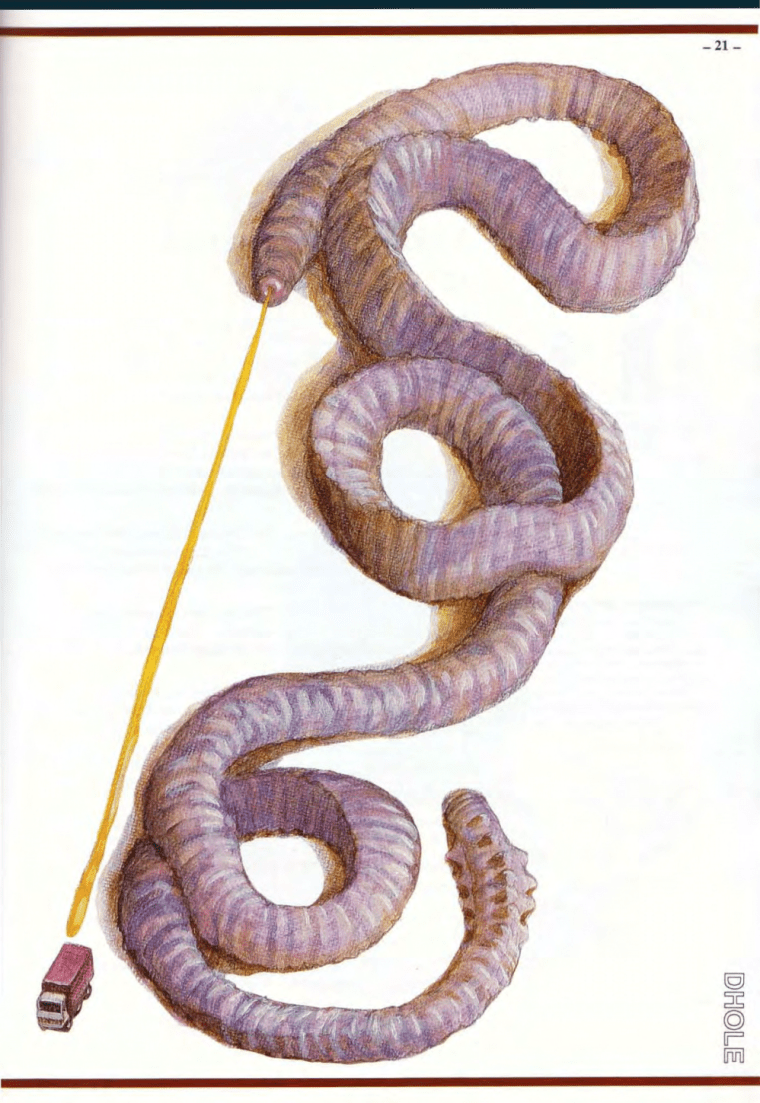 Worm Mimicry-Lovecraft-Dhole-Field Guide to Cthulhu Monsters-2