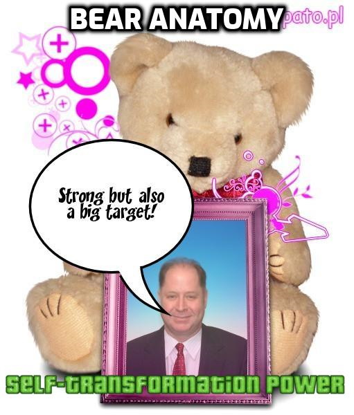 063) Bear Anatomy – Hugh Fox Superpowers List