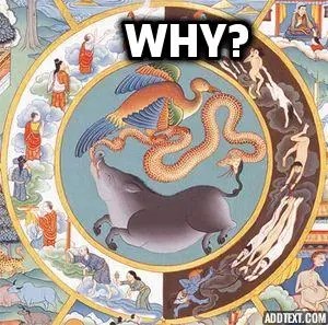 the-why-of-sin-three-poisons-snake.-rooster-boar