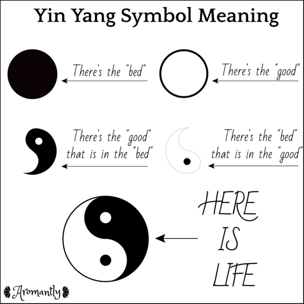 Ying Yang and Sex and Gender